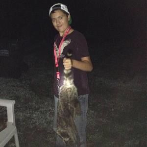 Meet your Posher, Preston